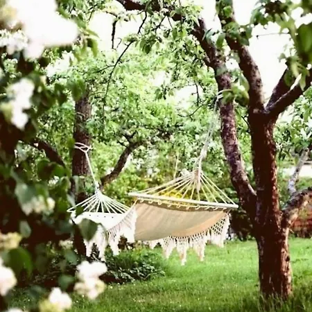 Danish Summer Feel In An Open Landscape