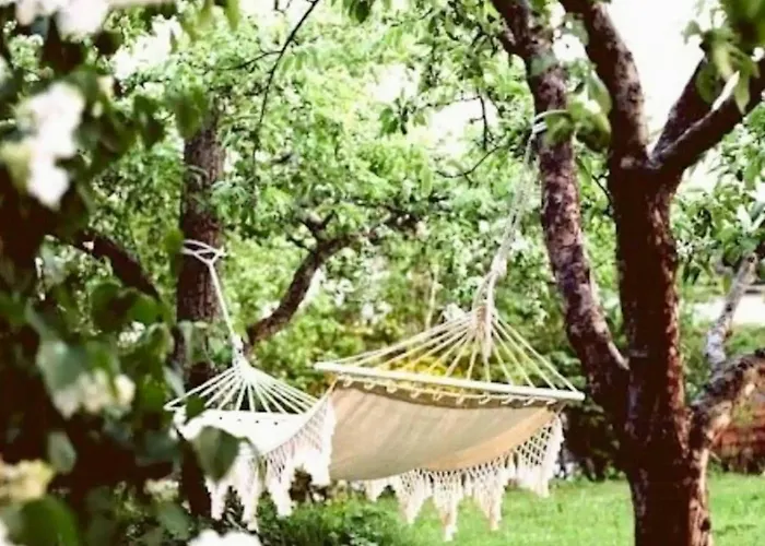 Danish Summer Feel In An Open Landscape